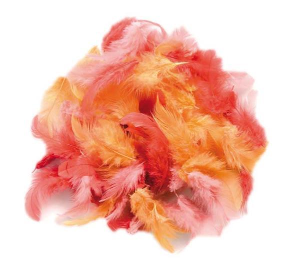 Geweldig Banket Krimpen Decoratieveren mix - 10 g, rood online kopen | Aduis